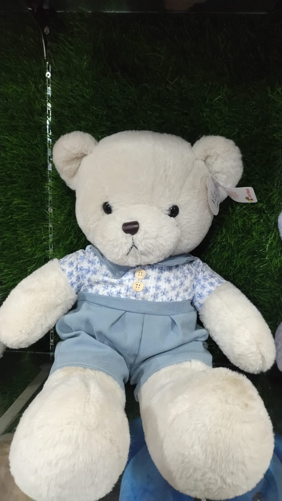 JB A09 BOY&GIRL TEDDY