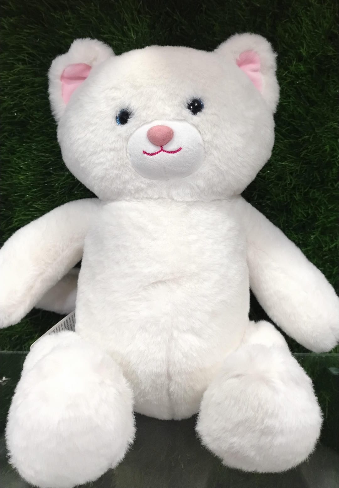 LBS DAISY CAT