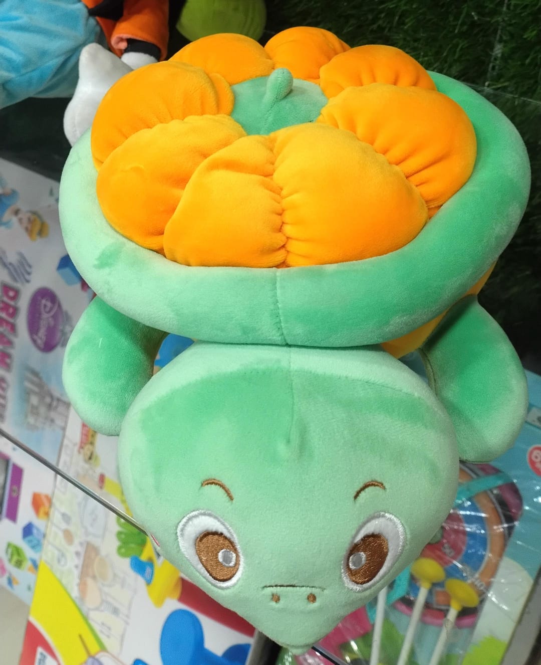 LBS PUMPKIN TURTLE