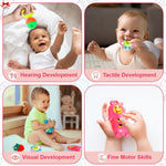 Baby toys with text labels on hearing, tactile, visual, and fine motor skills development.