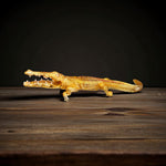 Top Angle of Golden Resin Crocodile Statue – Unique Gift from Motumal