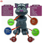 Toy cat with labeled parts and phrases on a white background