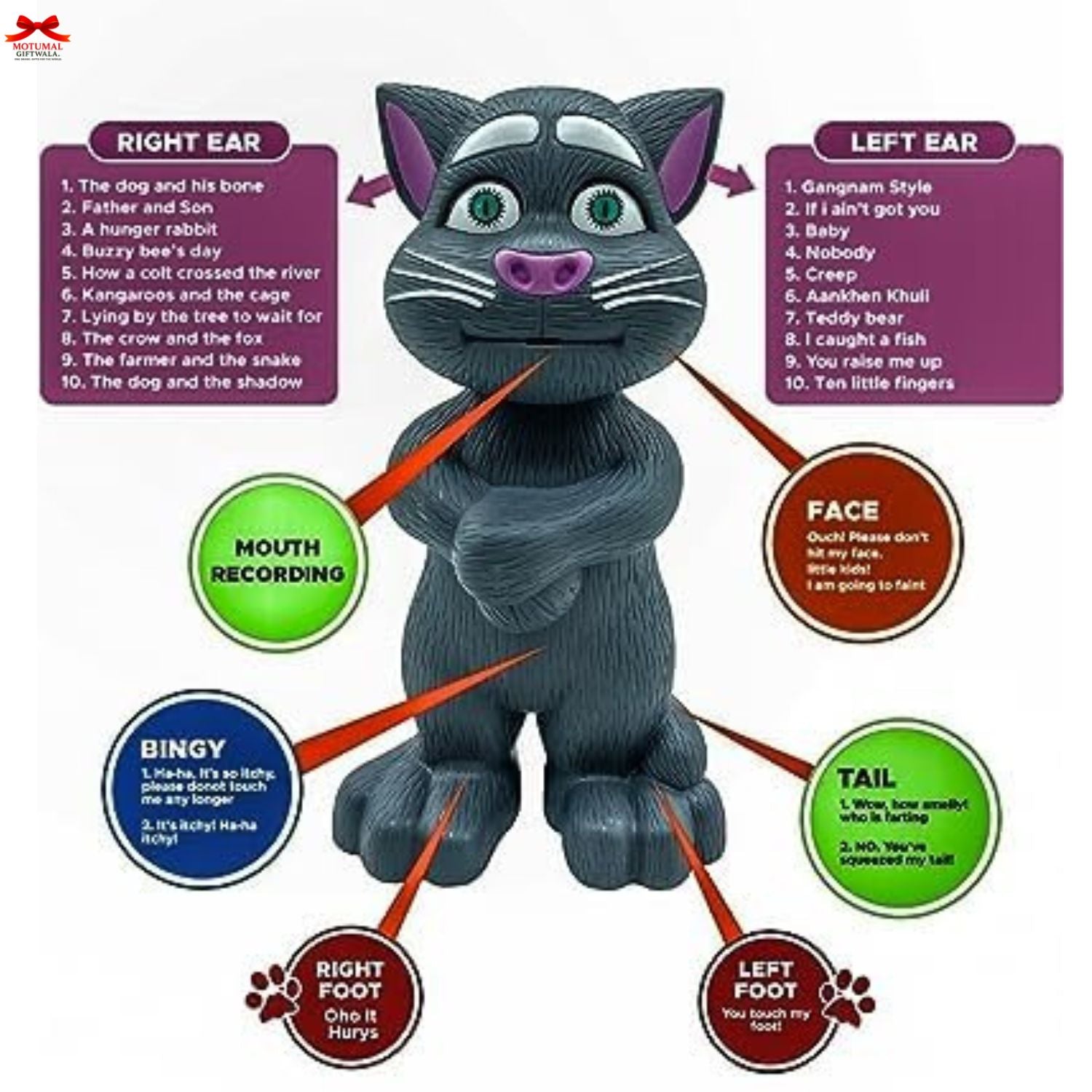 Toy cat with labeled parts and phrases on a white background