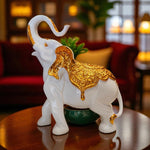 Decorative white elephant figurine with gold accents on a reflective surface.
